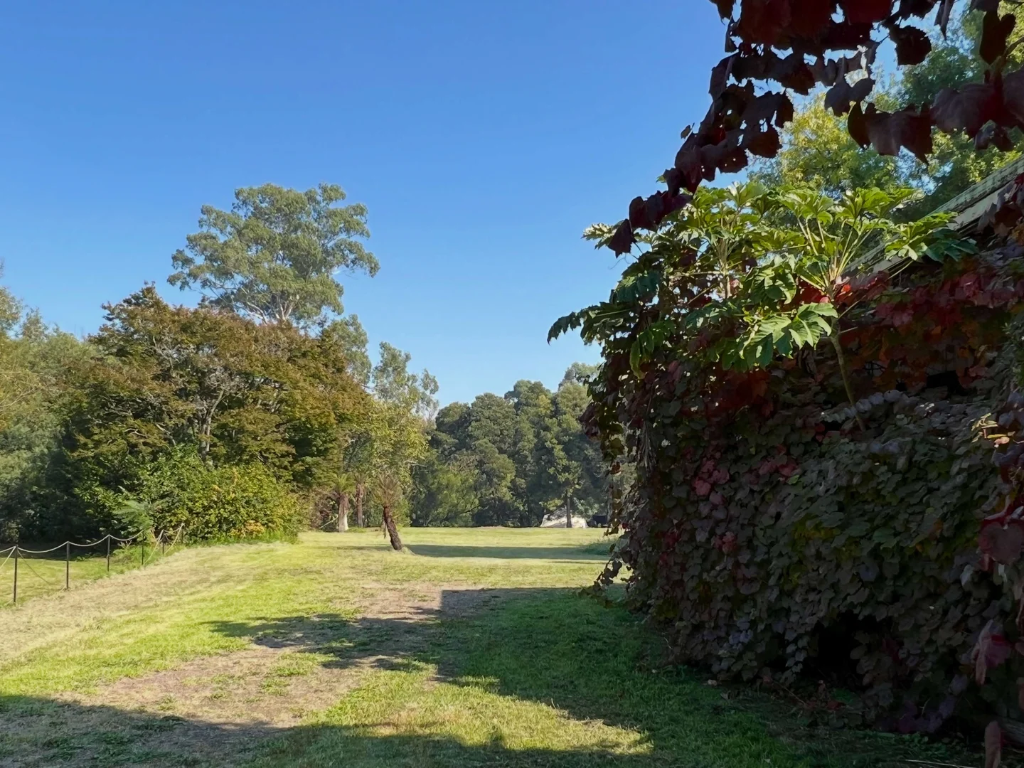 Additional image 8 of 1093 Taggerty-Thornton Road, Thornton VIC 3712