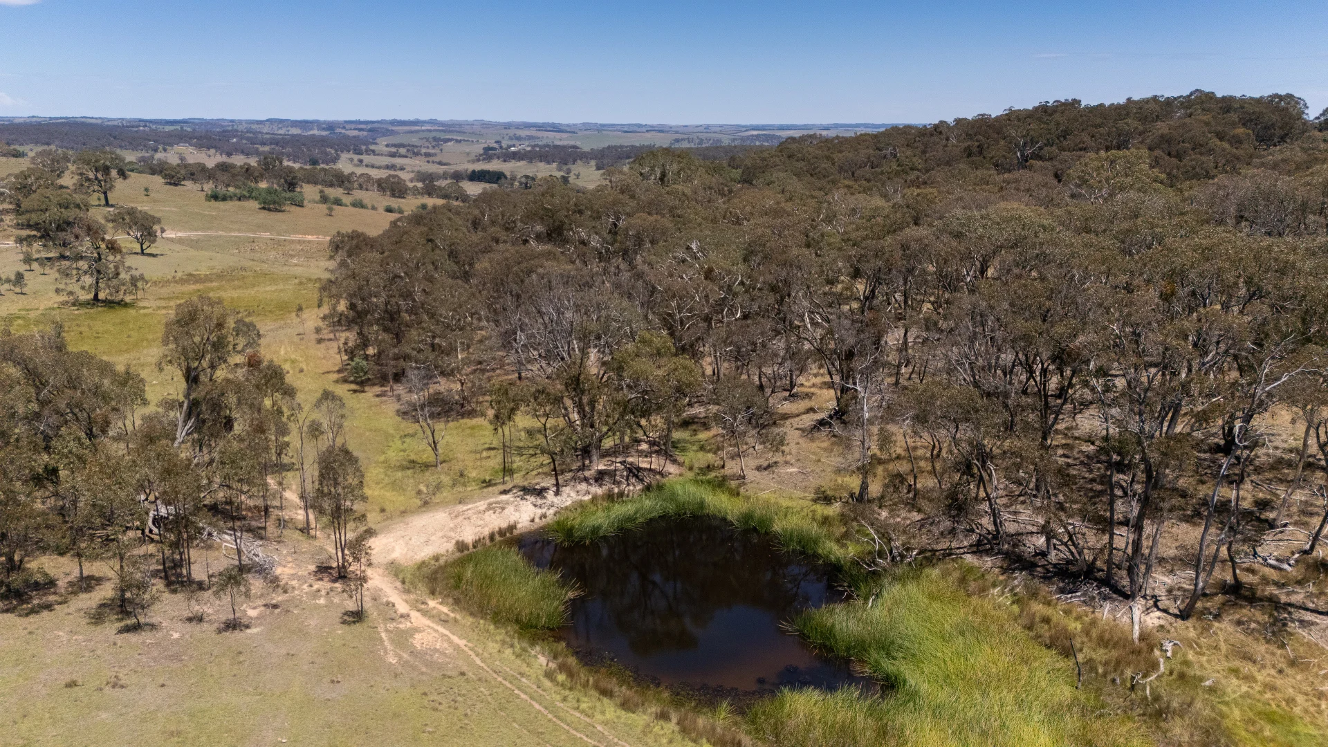 Additional image 6 of 1169 Golspie Road, Taralga NSW 2580