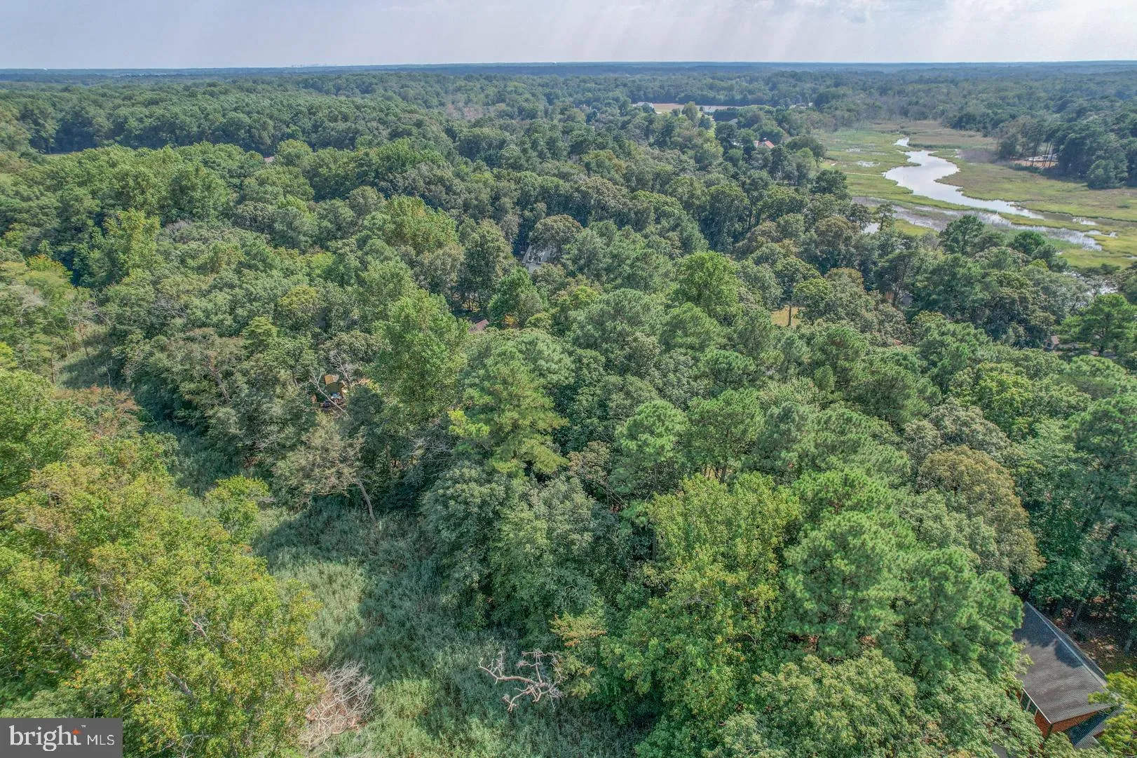 Additional image 50 of 10 Mallard Drive, Dagsboro, DE 19939