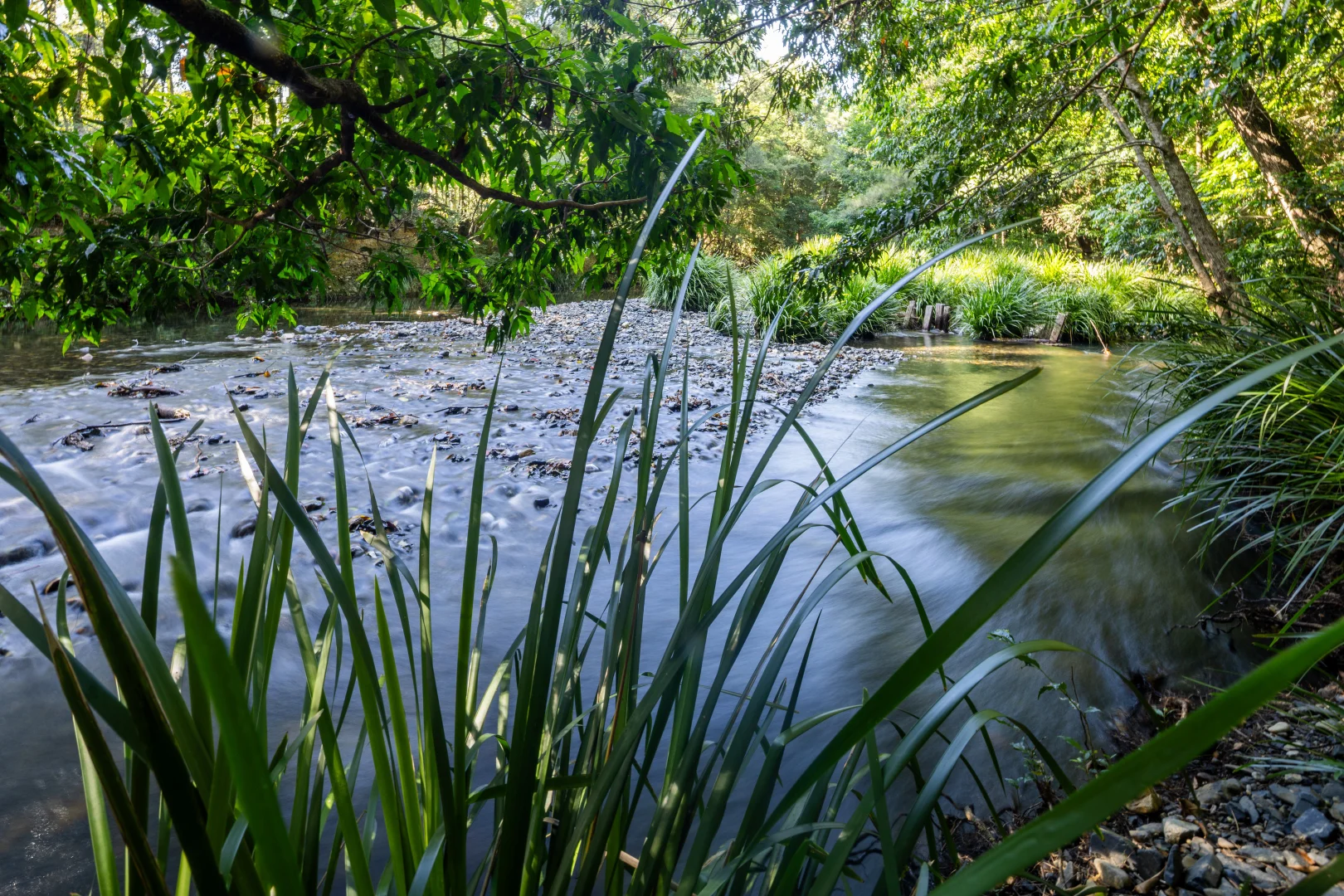 Additional image 33 of 930 promised land Road, Bellingen NSW 2454