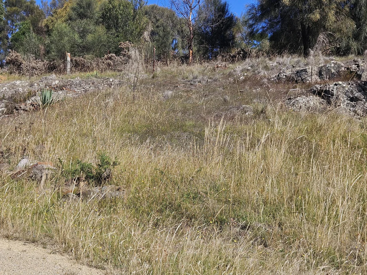 Additional image 8 of 343 Swan River Road, Dolphin Sands TAS 7190