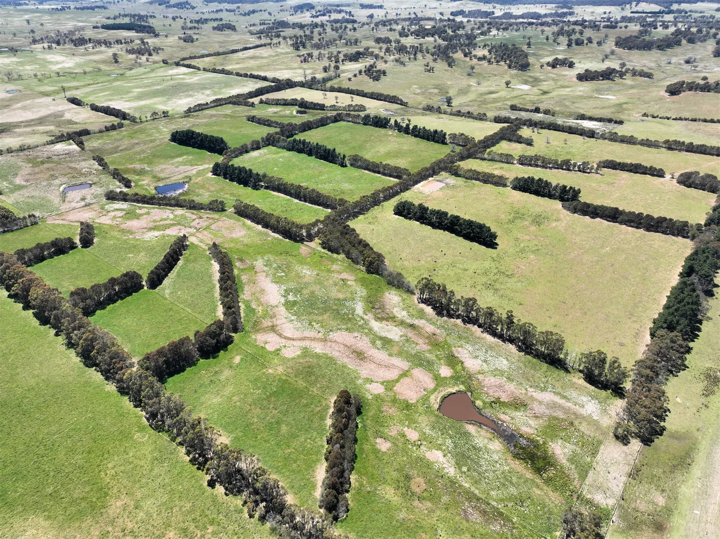Additional image 18 of Lot 1 Mount Rae Road, Roslyn, Crookwell NSW 2583