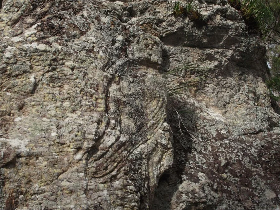 Additional image 10 of Stegemann Road, Upper Glastonbury QLD 4570