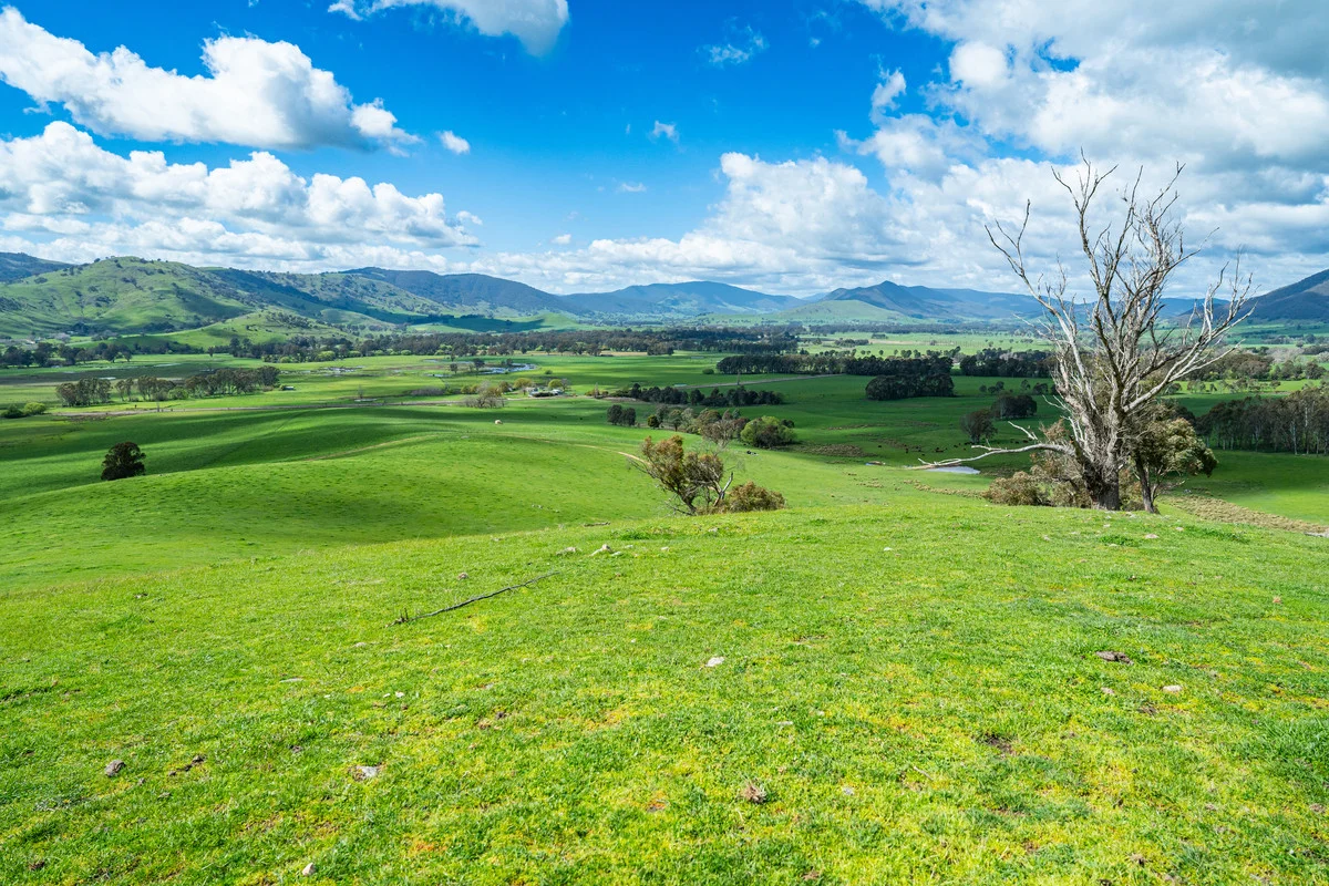 Additional image 18 of 2 Hibbersons Road, Tallangatta South VIC 3701