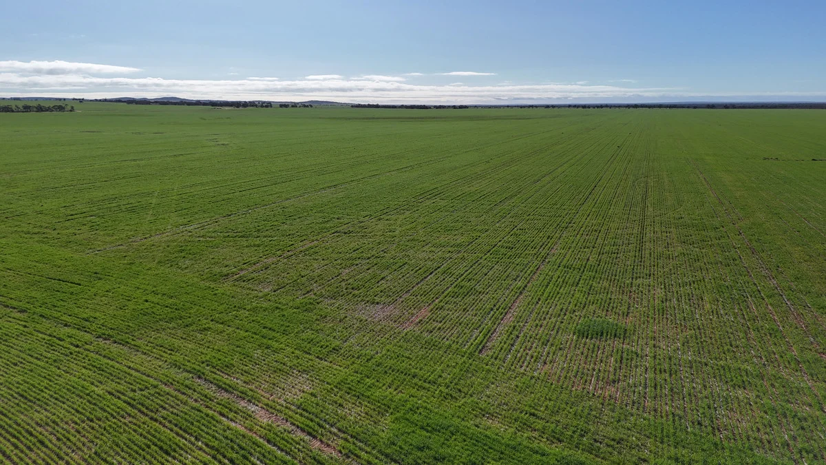 Additional image 4 of 697 Solomon Road, Perenjori WA 6620