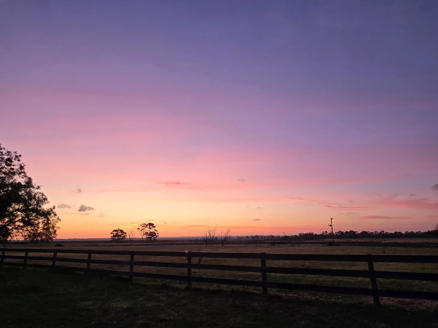 Additional image 31 of 111 CRAIGS LANE, Pearcedale VIC 3912