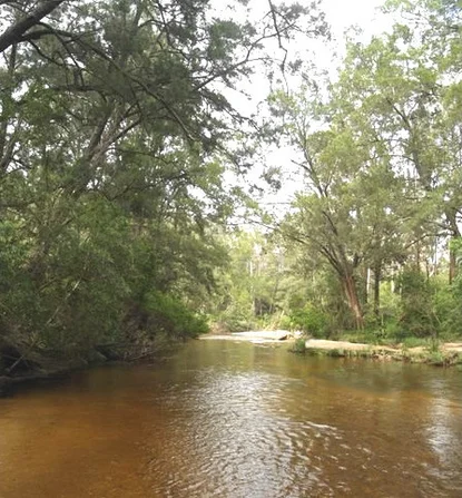 Additional image 22 of 328 Knights Creek Road, Murrah NSW 2546