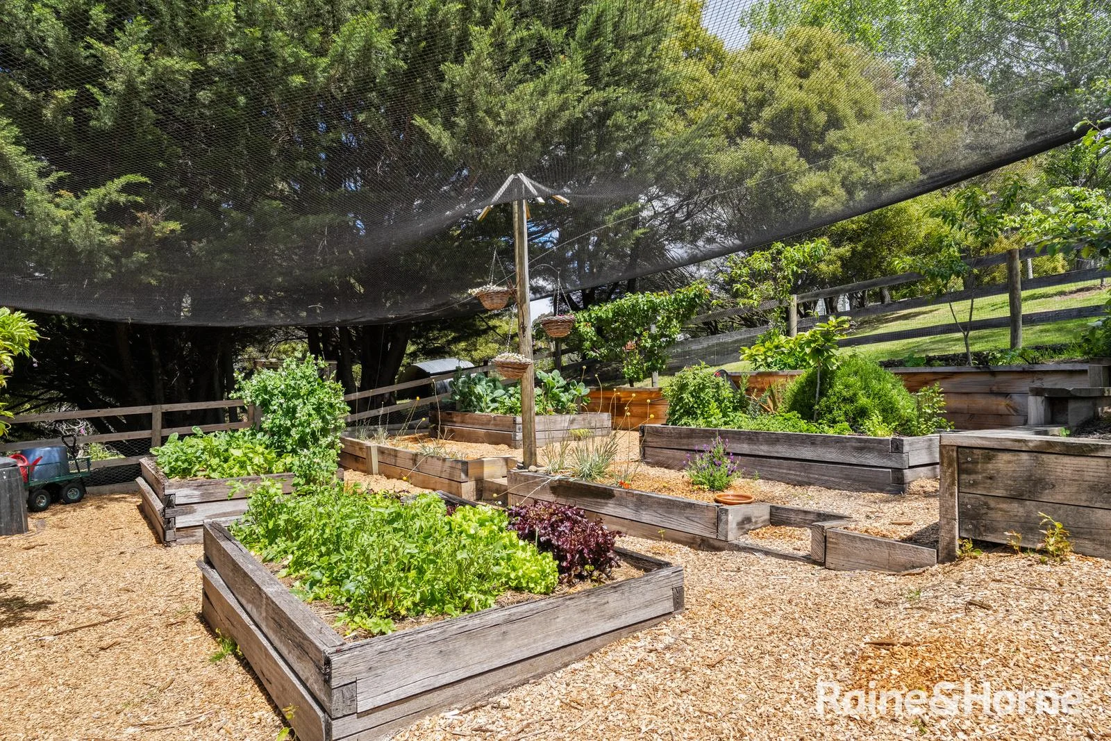 Additional image 22 of 133 Cades Drive, Kingston TAS 7050