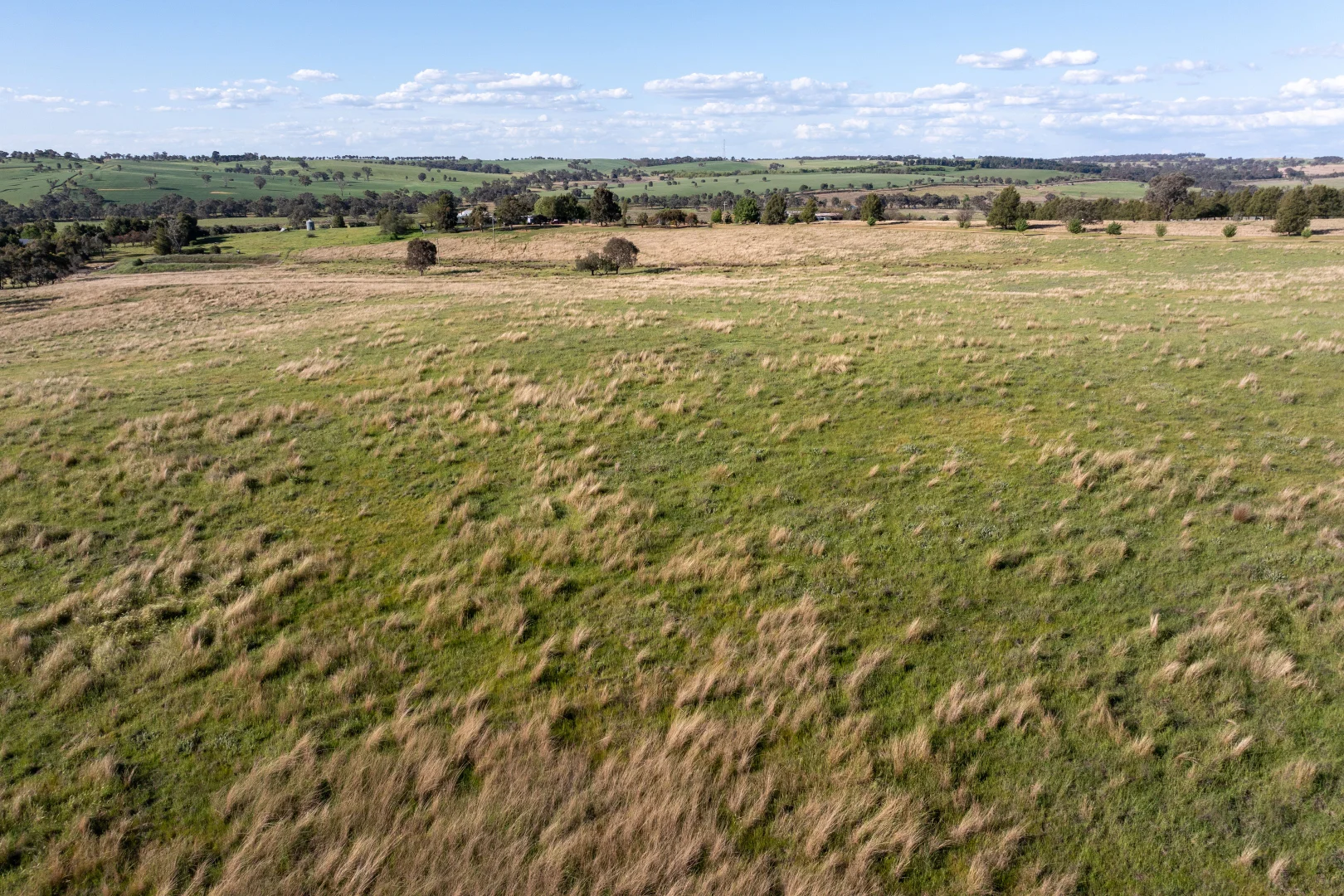 Additional image 35 of 251 Pattersons Lane, Young NSW 2594