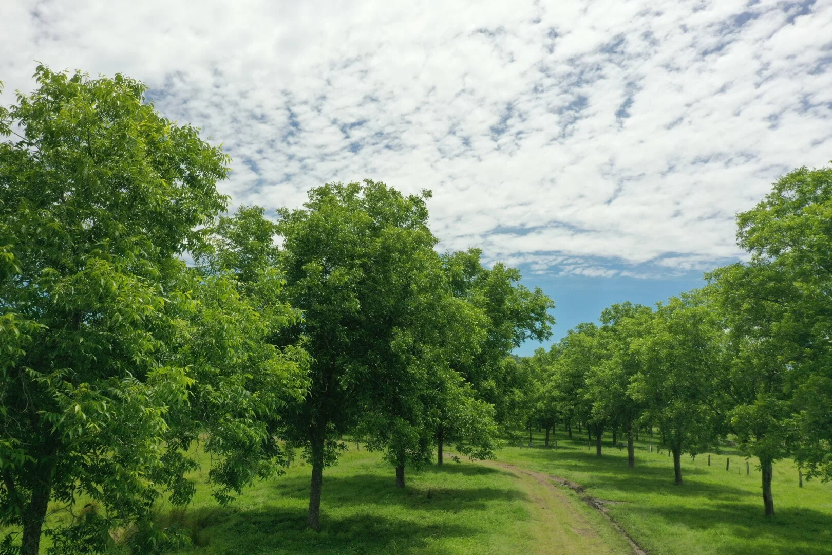 Additional image 25 of 139 Homestead Road, Kyogle NSW 2474