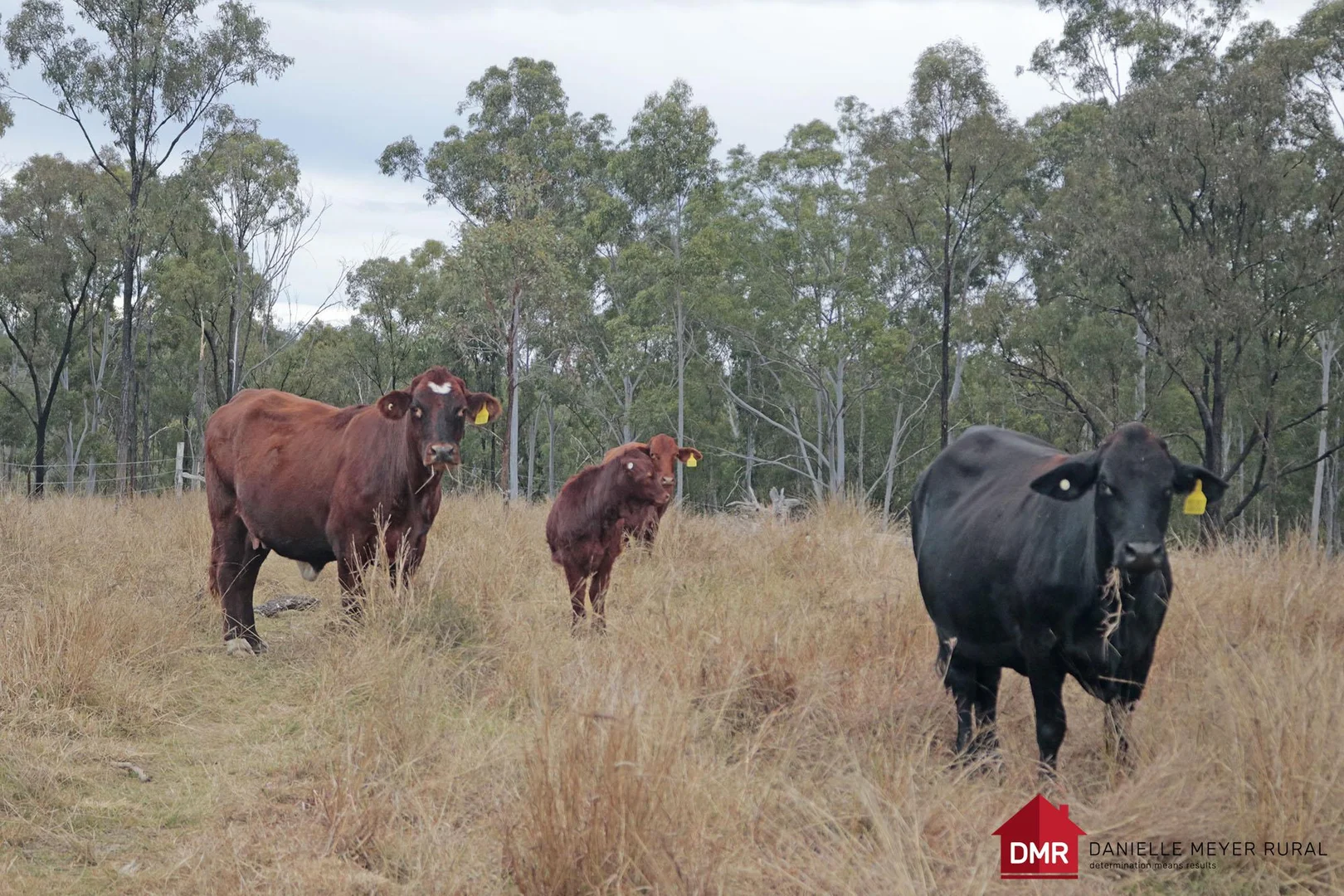 Additional image 24 of Lot 33-35 Bilboolan Road, Eidsvold QLD 4627