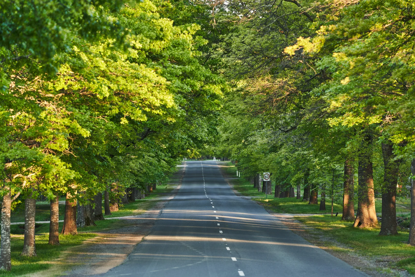 Additional image 14 of Ambrosia Estate, Kyneton VIC 3444