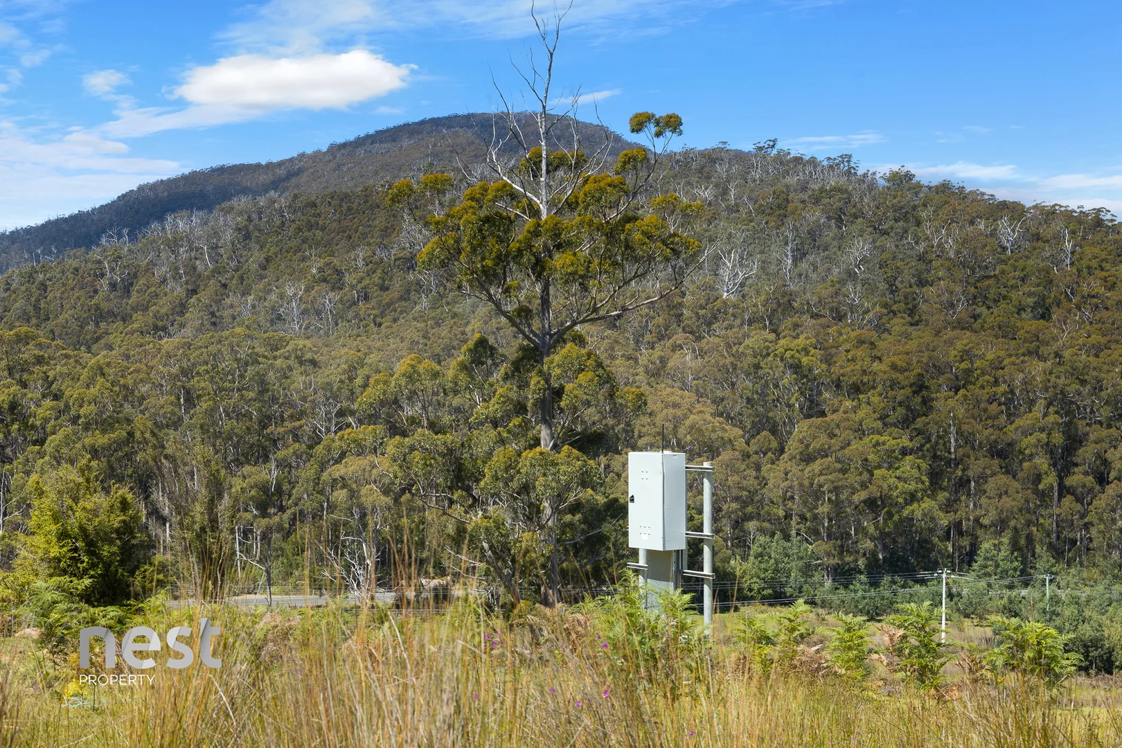 Additional image 15 of 4736 Arthur Highway, Murdunna TAS 7178