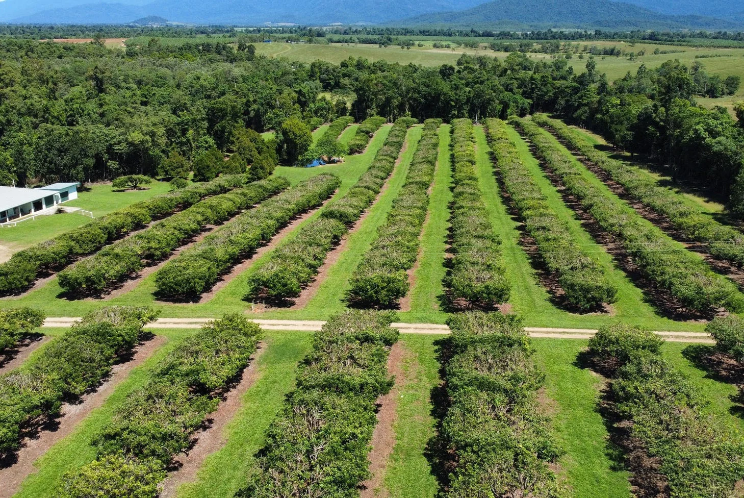 Additional image 45 of 281 Dingo Pocket Rd, Dingo Pocket QLD 4854