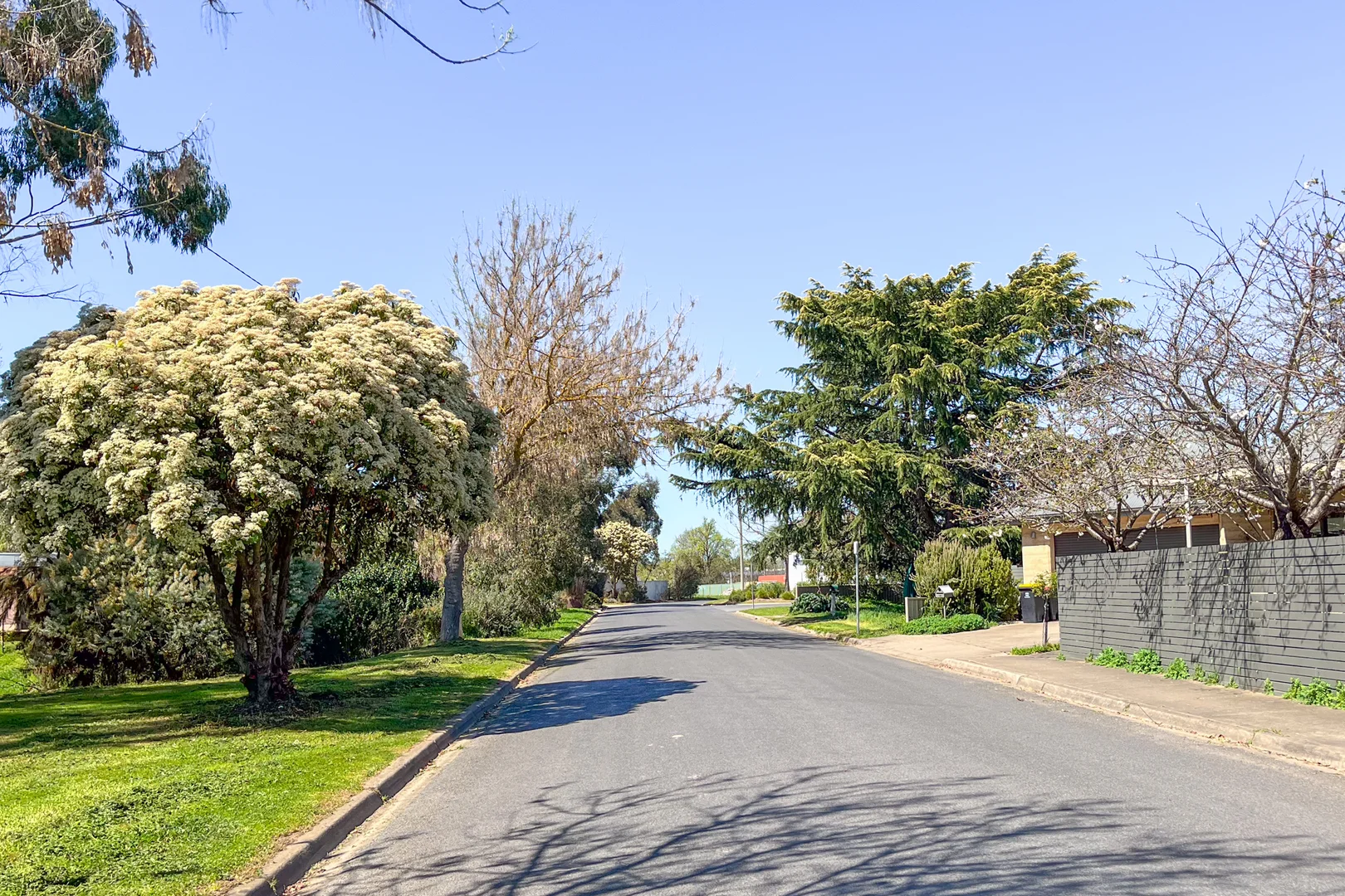 Additional image 5 of 12 Baldry Street, Mansfield VIC 3722