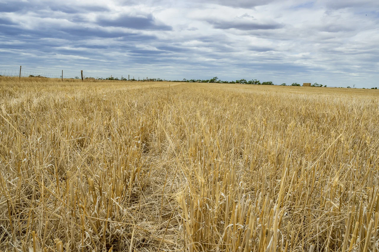 Additional image 3 of Redbanks SA 5502