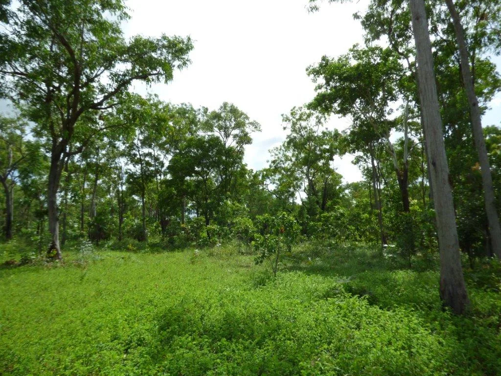 Additional image 6 of Acacia Hills NT 0822