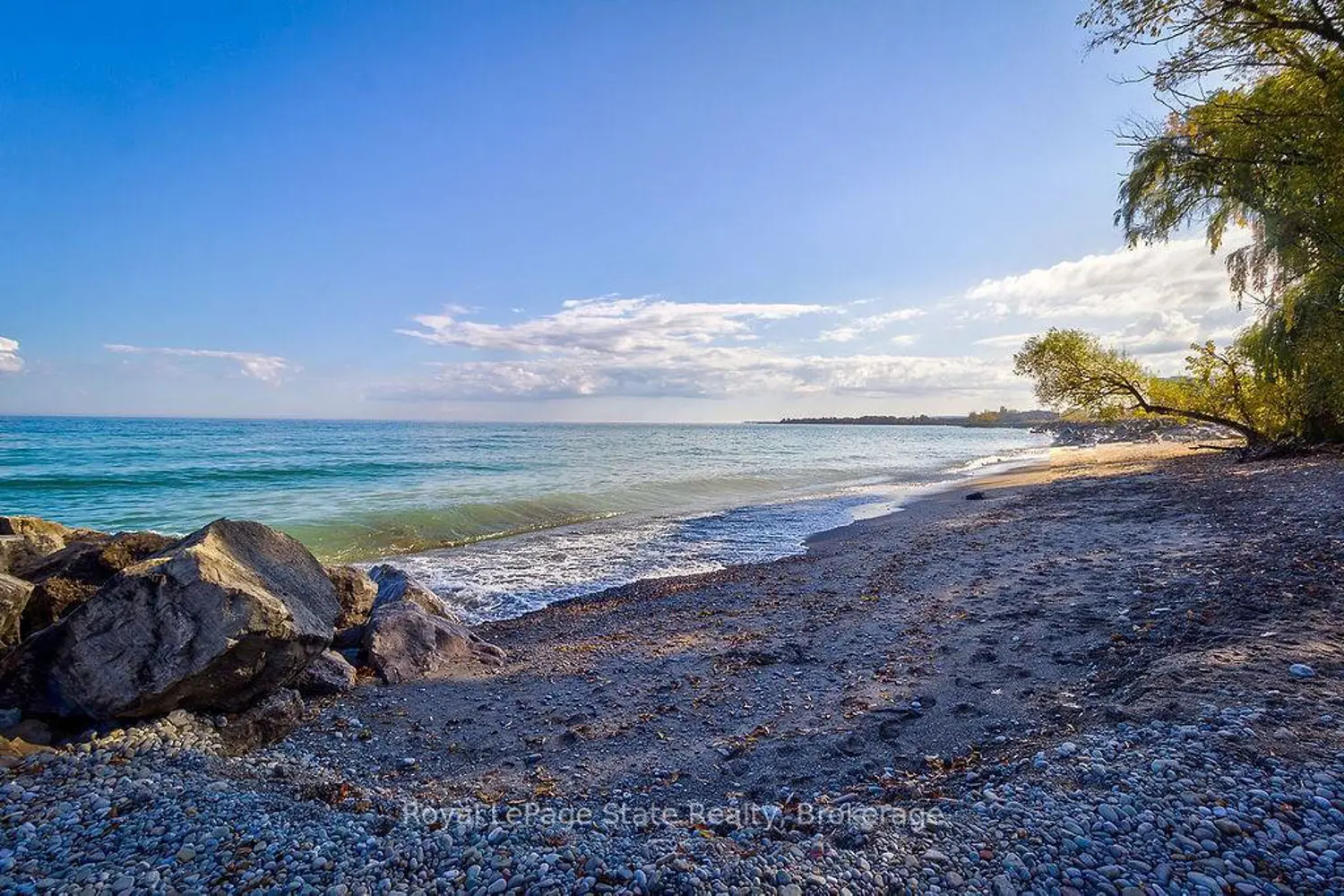 Additional image 2 of 301 Frances Avenue 704