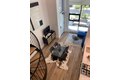 Additional image 2 of 1288 Howard St Apt 108, San Francisco, CA, 94103