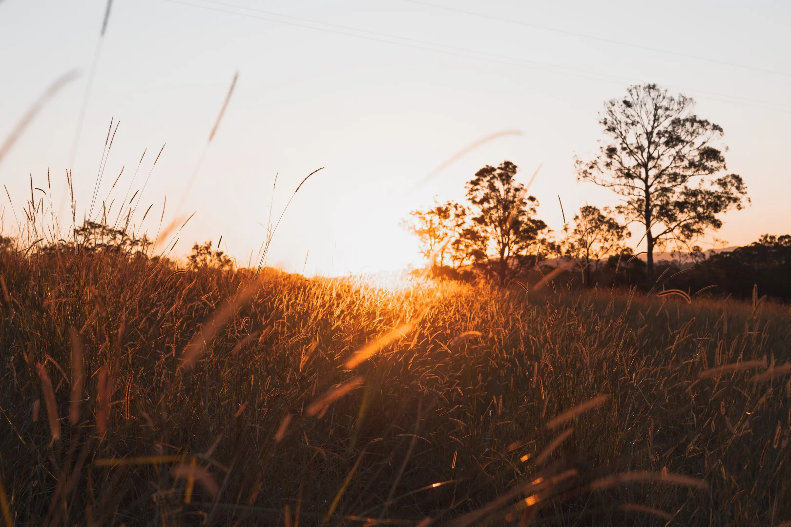 Additional image 20 of 180 Runnymede Road, Kyogle NSW 2474