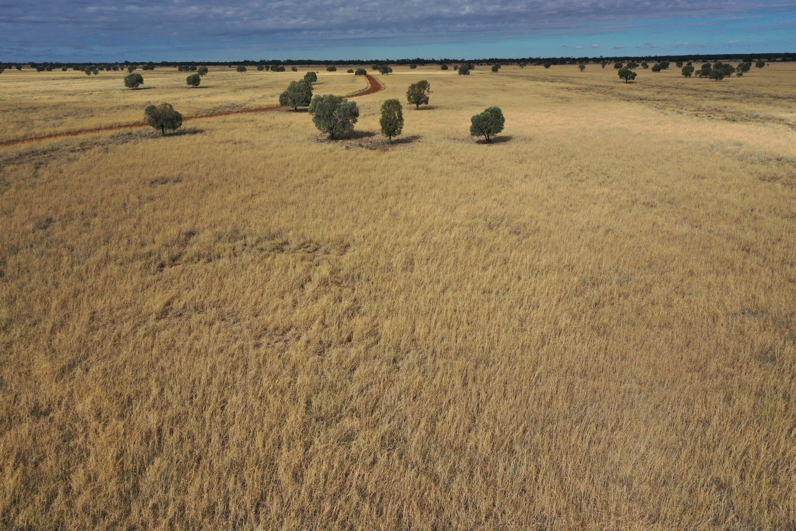 Additional image 12 of 13724 Mitchell - St George Rd, St George QLD 4487
