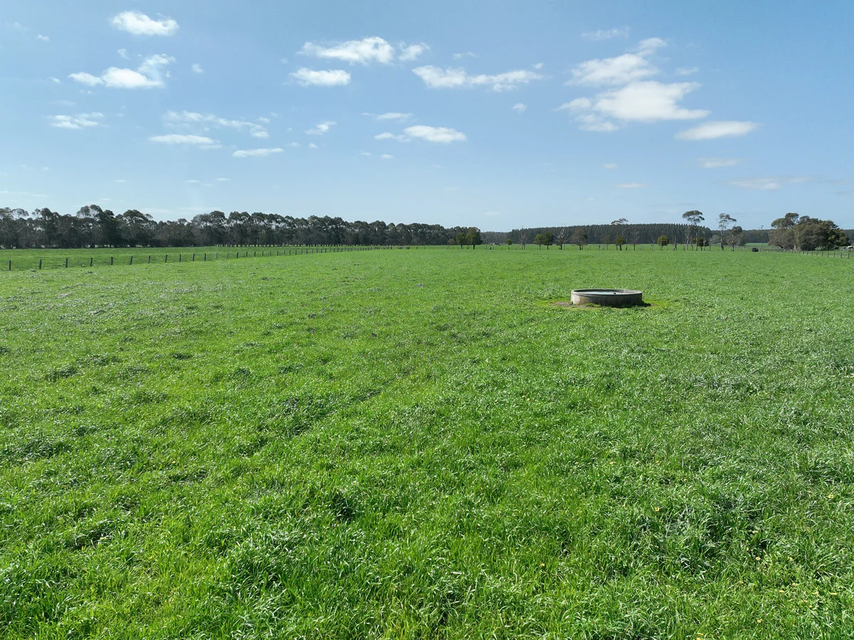 Additional image 4 of 260 Swan Marsh-Stonyford Road, Pirron Yallock VIC 3249