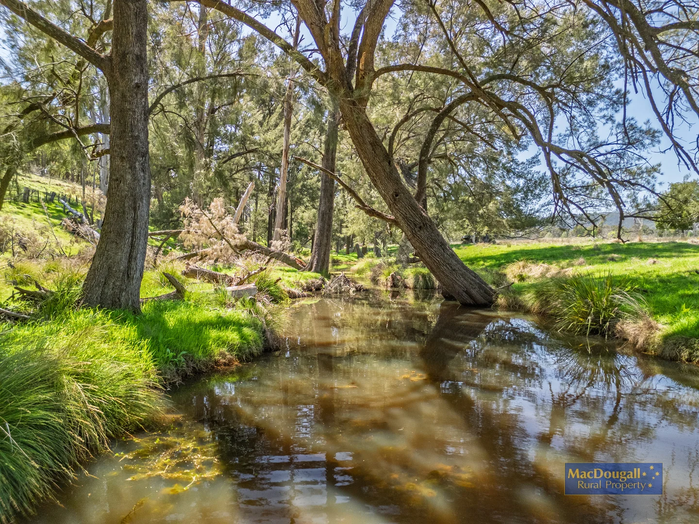 Additional image 5 of 384 Dry Creek Road, Georges Creek NSW 2365