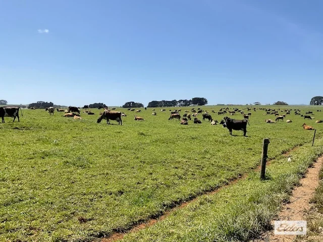 Additional image 30 of Dawkins Road, Lileah TAS 7330