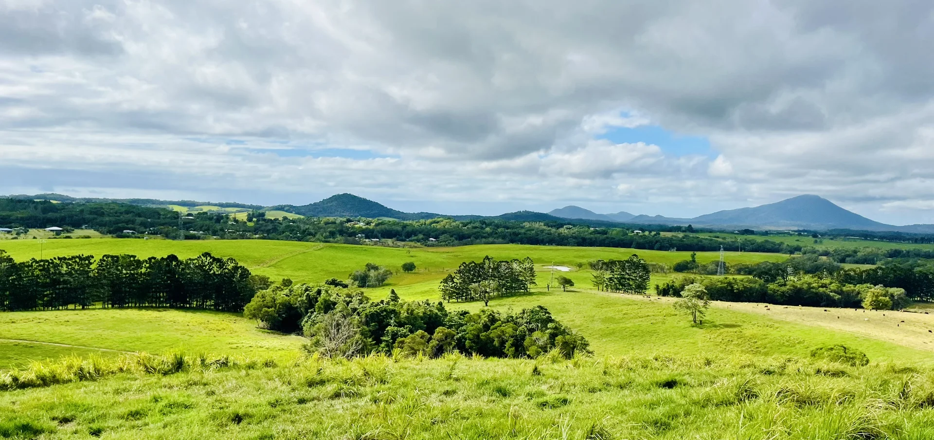 Additional image 42 of 1297 Mossman - Mt Molloy Rd, Julatten QLD 4871