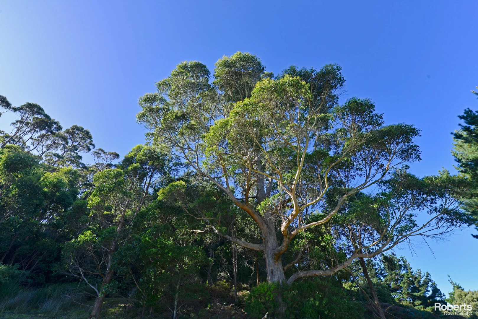 Additional image 10 of 847 Stormlea Road, Stormlea TAS 7184