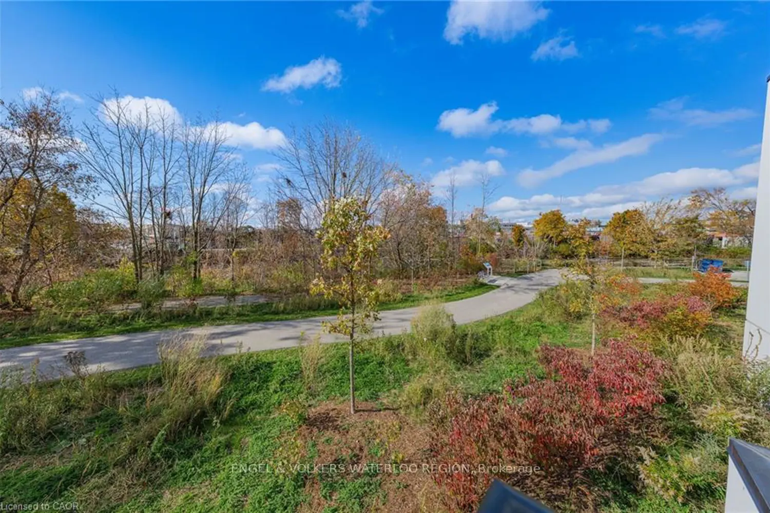 Additional image 19 of 71 Wyndham Street 601