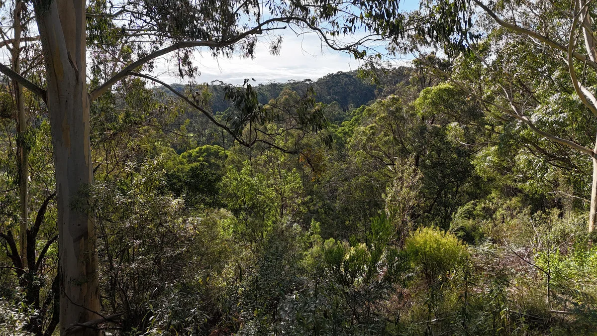 Additional image 19 of 318 Old Ocean Road, Glenaire VIC 3238