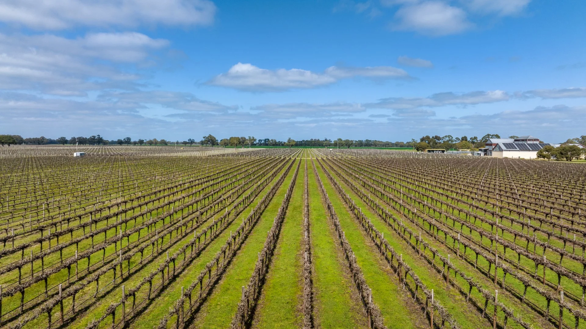 Additional image 4 of 148 McLean Road, Coonawarra SA 5263