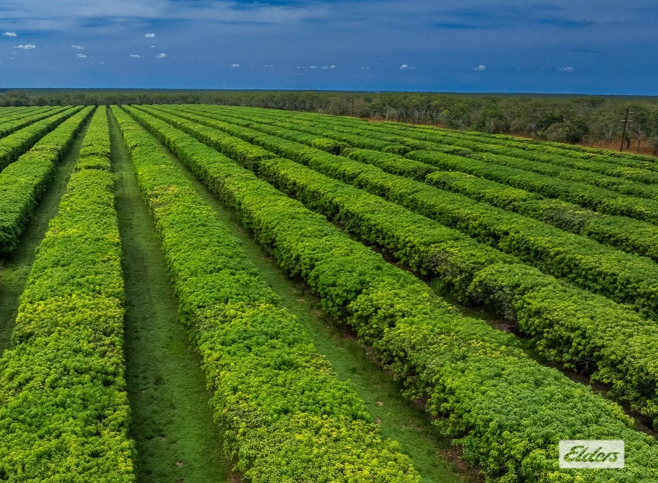 Additional image 3 of Connelly Road, Lambells Lagoon NT 0822