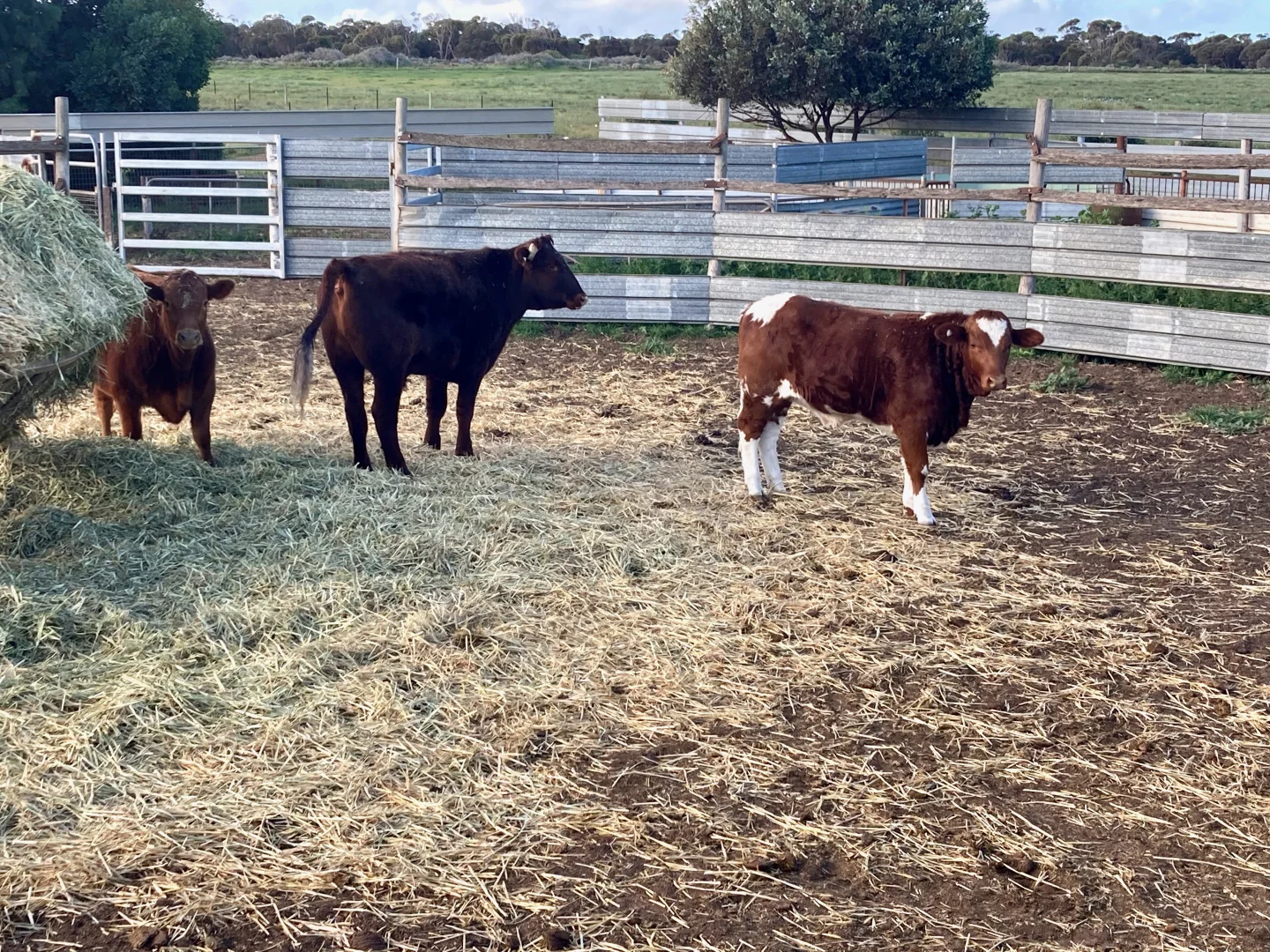 Additional image 5 of 46884 Eyre Highway, Ceduna SA 5690