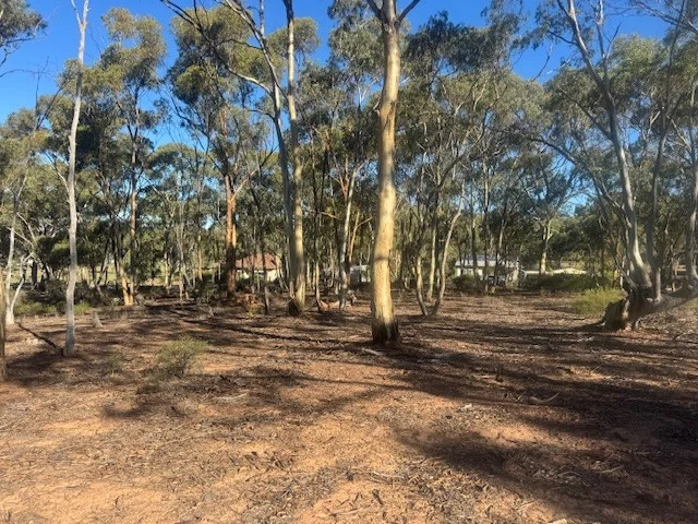 Additional image 3 of 2-20 Godfrey Street, Wedderburn VIC 3518