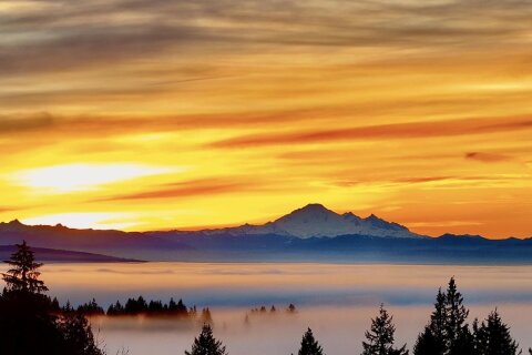 Additional image 8 of 3066 Tanager Court, Coquitlam, BC, V3E 3C5