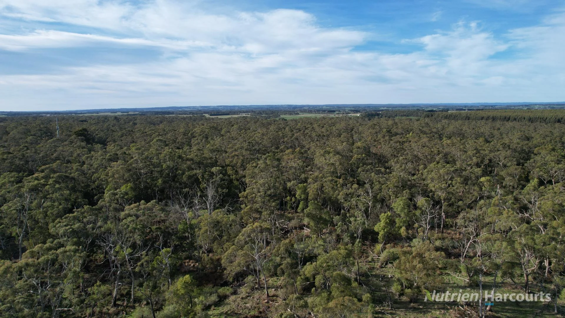 Additional image 10 of 1805 Princes Highway, Pirron Yallock VIC 3249