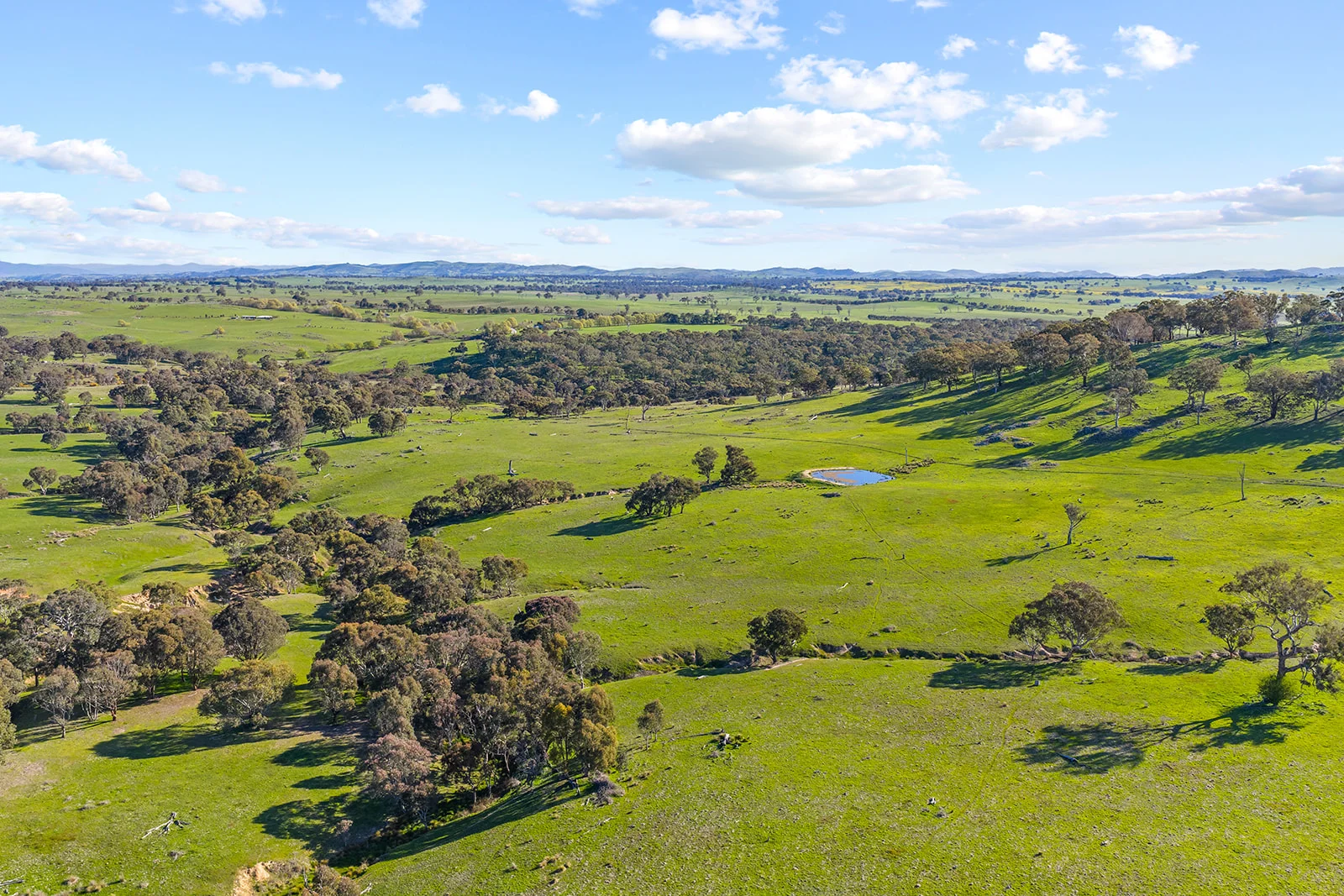 1432 Lachlan Valley Way, Laverstock NSW 2582