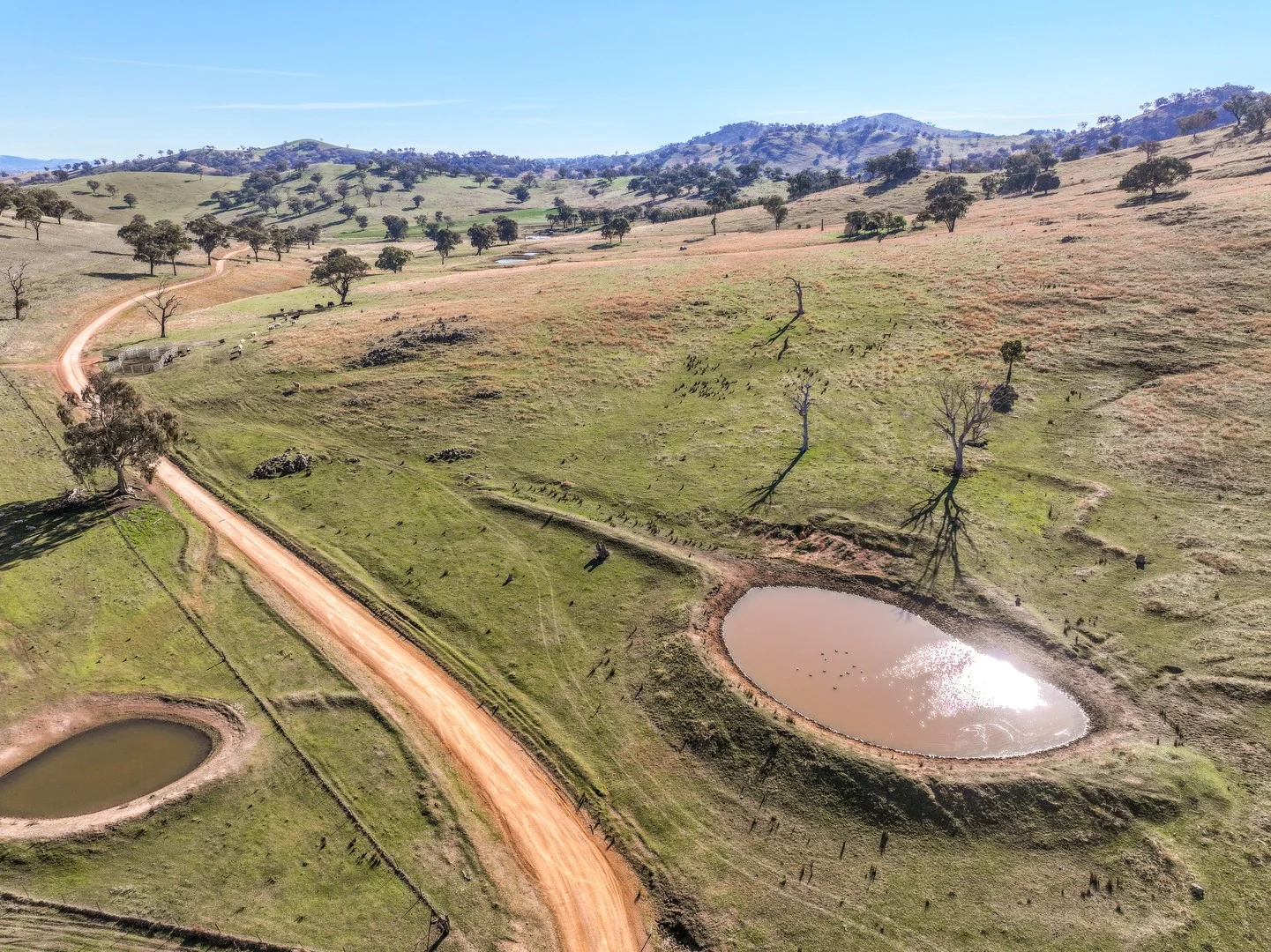 Additional image 2 of 444 Hoares Lane, Muttama NSW 2722