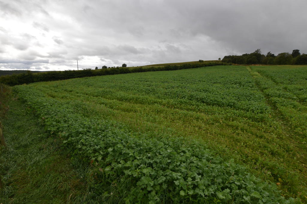 Additional image 5 of Site at Mill Of Towie, Keith