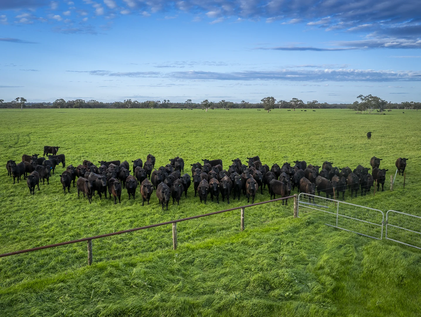 Additional image 12 of 325 Maranoa Downs Road, Stewart Range SA 5271