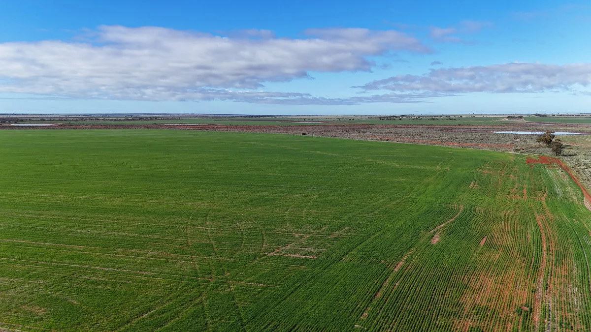 Additional image 10 of 697 Solomon Road, Perenjori WA 6620