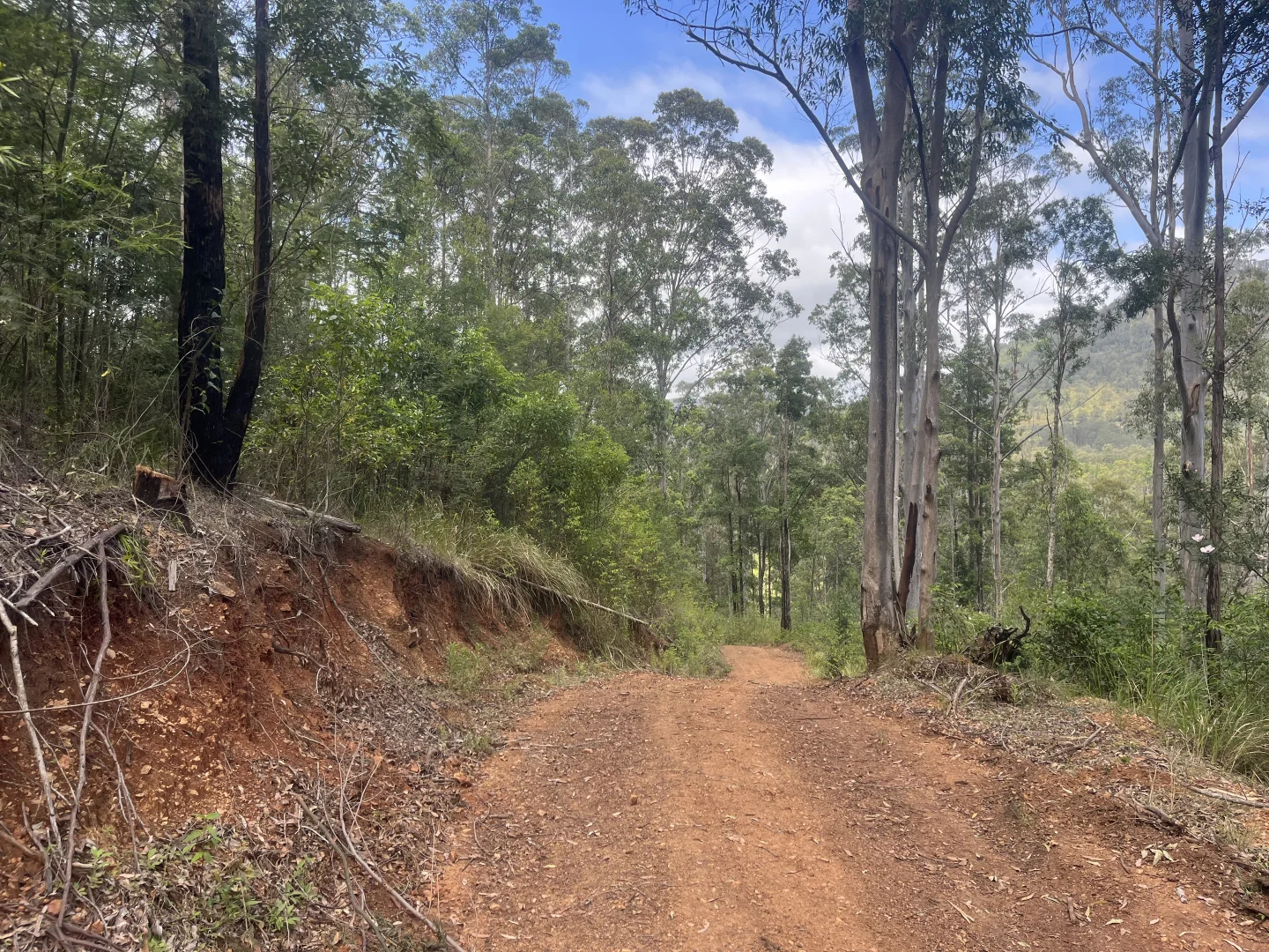 Additional image 18 of 173 Knodingbul Forest Road, Mount George NSW 2424