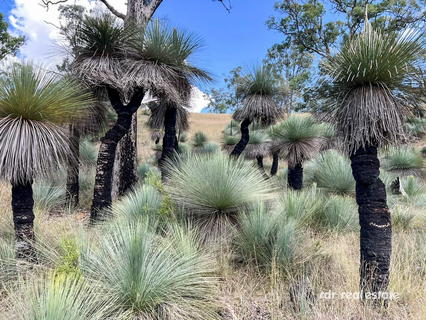 Additional image 34 of 354 Pollocks Lane, Little Plain, Inverell NSW 2360