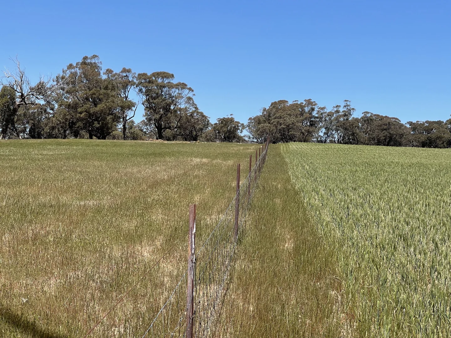 Additional image 22 of 0 Mathison Road, Gre Gre South VIC 3477