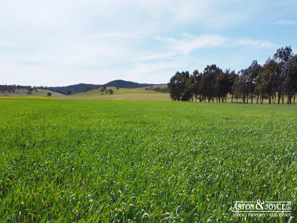 Additional image 36 of 3378 Mid Western Highway, Grenfell NSW 2810