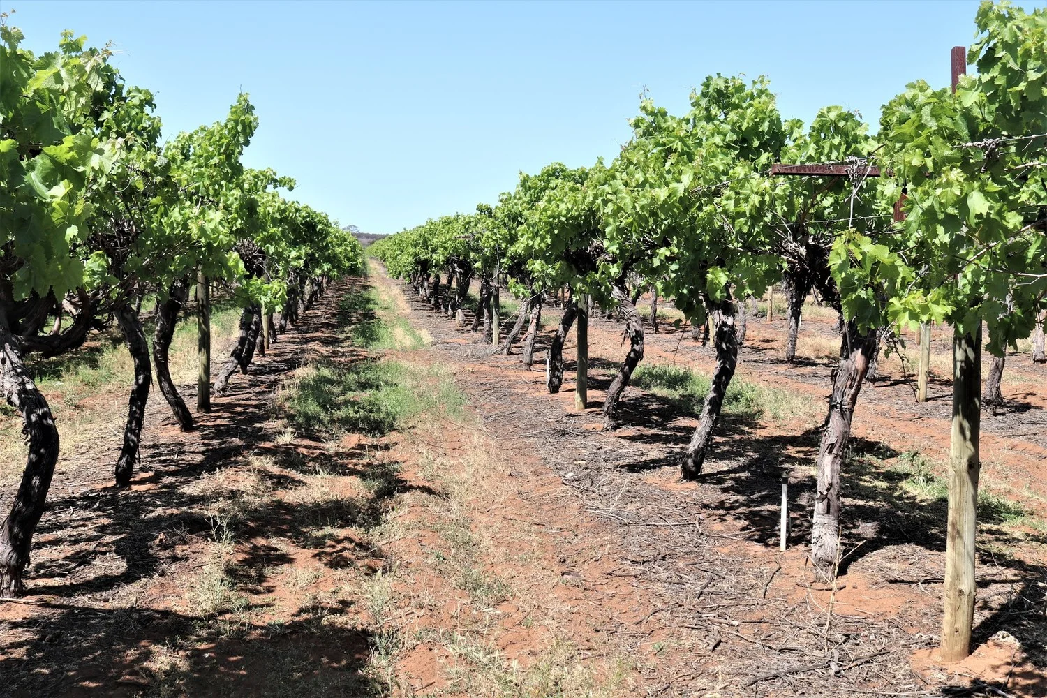 Additional image 11 of 2756 Tapalin Mail Road, Euston NSW 2737