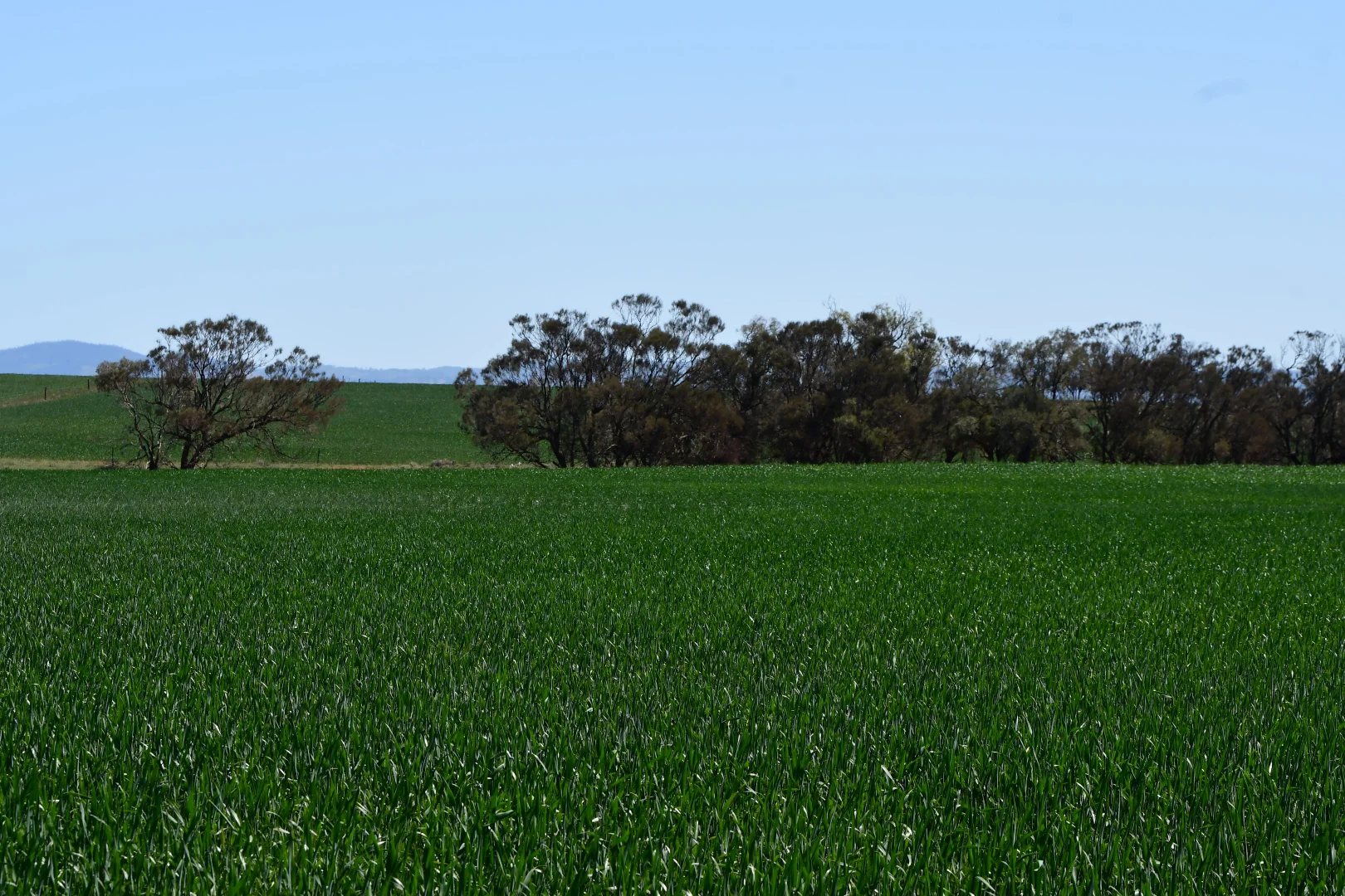 Additional image 5 of 26 Amyton Road, Willowie SA 5431