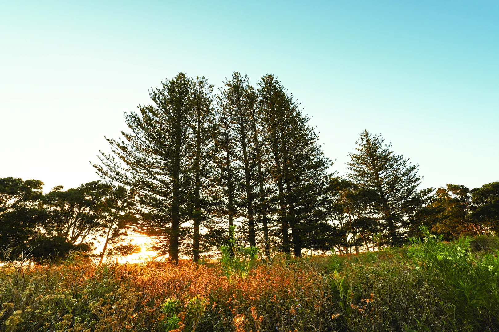 Additional image 6 of 20/78 Hutley Drive, Lennox Head NSW 2478